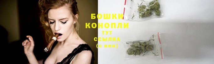 крисы Беломорск