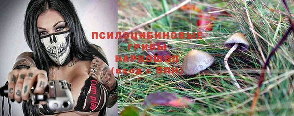 крисы Беломорск