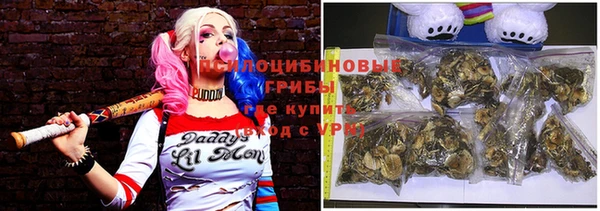 крисы Беломорск