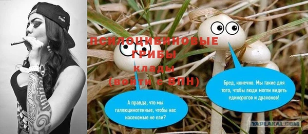 прущие крисы Белоозёрский