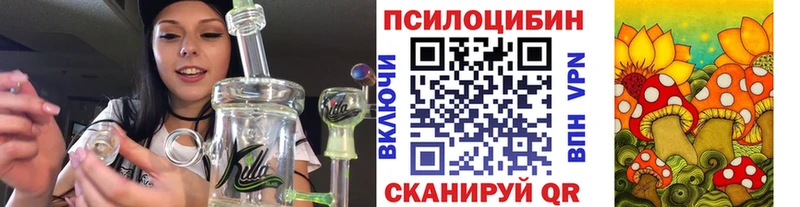 Псилоцибиновые грибы MAGIC MUSHROOMS  наркотики  Губкинский 